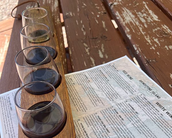 Wine 101: Wine Tasting Guide for Travelers